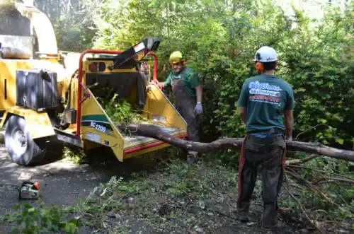 tree services Moores Mill